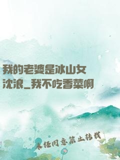 我的老婆是冰山女總載沈浪