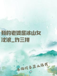 我的老婆是冰山女總載沈浪