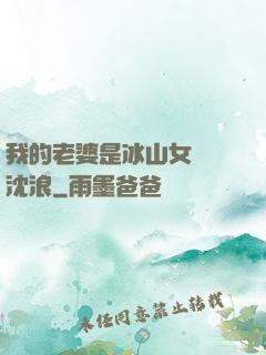 我的老婆是冰山女總載沈浪