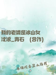 我的老婆是冰山女總載沈浪