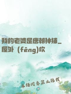 我的老婆是唐朝神捕