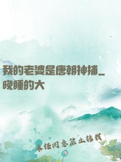 我的老婆是唐朝神捕