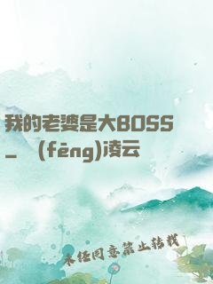 我的老婆是大BOSS