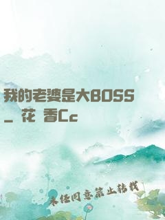 我的老婆是大BOSS
