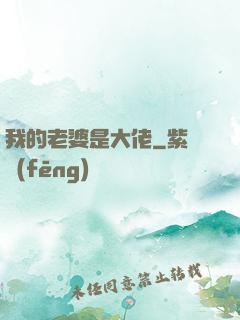 我的老婆是大佬
