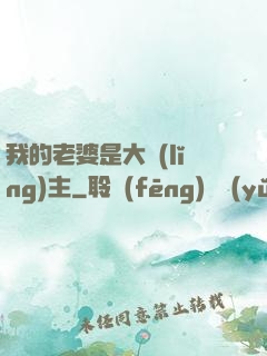 我的老婆是大領(lǐng)主