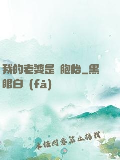 我的老婆是雙胞胎