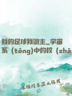 我的足球我做主