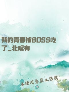 我的青春被BOSS吃了