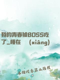 我的青春被BOSS吃了