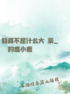 我真不是什么大劍豪
