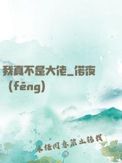 我真不是大佬