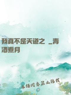 我真不是天道之師