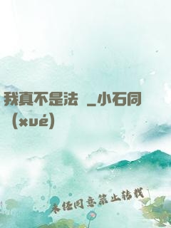 我真不是法爺