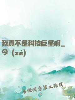 我真不是科技巨星啊