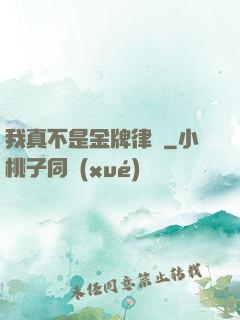 我真不是金牌律師