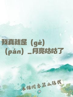我真就是個(gè)鍵盤(pán)俠