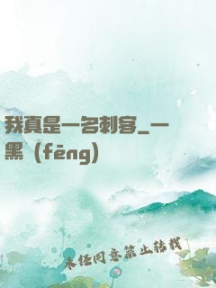 我真是一名刺客