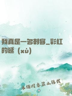 我真是一名刺客