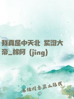 我真是中天北極紫微大帝