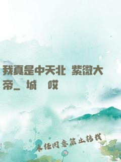 我真是中天北極紫微大帝