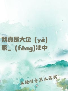 我真是大企業(yè)家