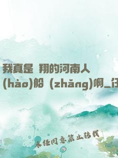 我真是飛翔的河南人號(hào)船長(zhǎng)啊
