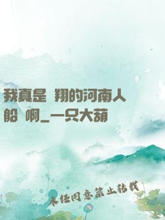 我真是飛翔的河南人號船長啊