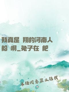 我真是飛翔的河南人號船長啊