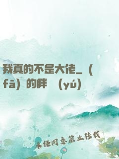 我真的不是大佬