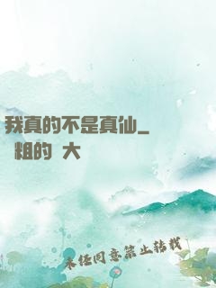 我真的不是真仙