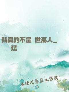 我真的不是絕世高人