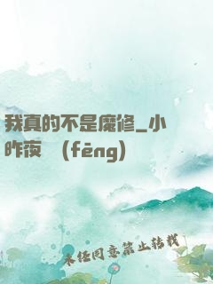 我真的不是魔修