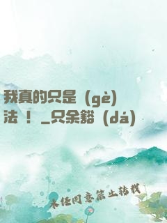 我真的只是個(gè)法師！