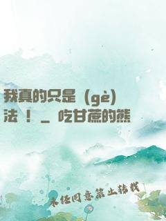我真的只是個(gè)法師！