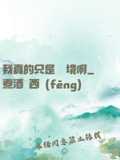 我真的只是煉氣境啊