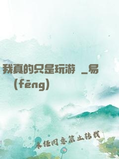 我真的只是玩游戲