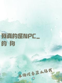 我真的是NPC