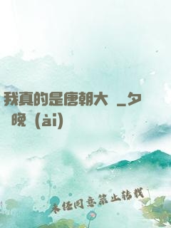 我真的是唐朝大將