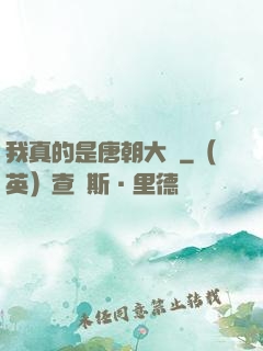 我真的是唐朝大將