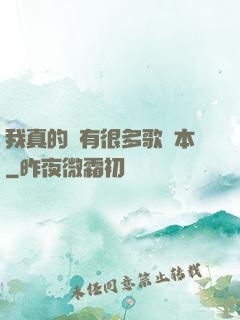 我真的沒有很多歌詞本