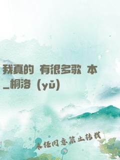 我真的沒有很多歌詞本