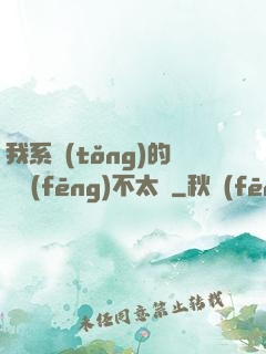 我系統(tǒng)的畫風(fēng)不太對