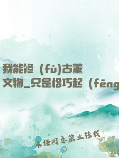 我能修復(fù)古董文物