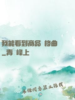 我能看到商品價格曲線