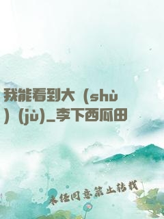 我能看到大數(shù)據(jù)