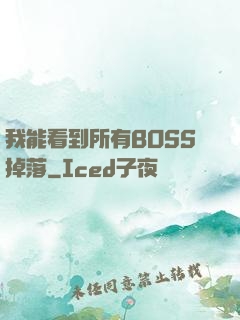 我能看到所有BOSS掉落