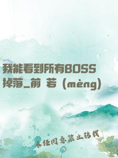 我能看到所有BOSS掉落