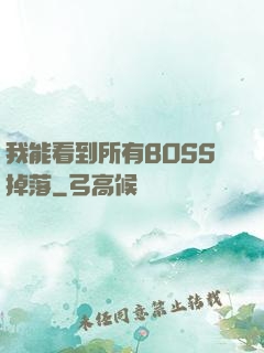 我能看到所有BOSS掉落
