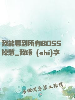 我能看到所有BOSS掉落